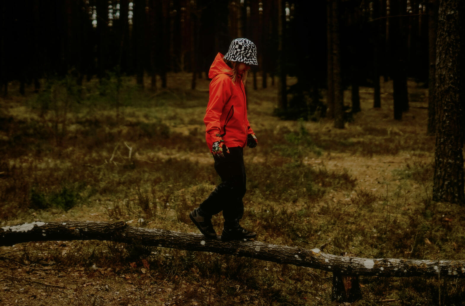Child Gazing up Tree